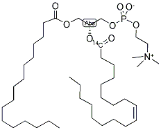 L-3-PHOSPHATIDYLCHOLINE,1-PALMITOYL-2-[1-14C]OLEOYL Struktur