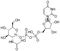 URIDINE DIPHOSPHATE-N-ACETYL-D-GLUCOSAMINE, [D-GLUCOSAMINE-1-14C] Struktur