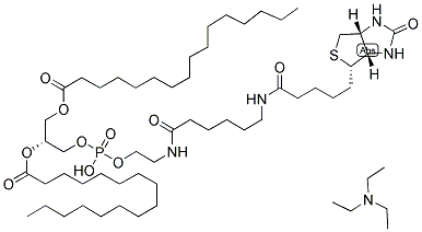 BIOTIN-X DHPE Struktur