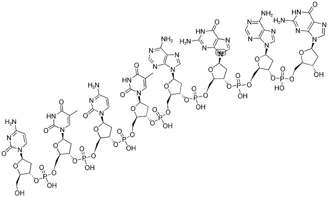 LINKER XBA I, PHOSPHORYLATED Struktur