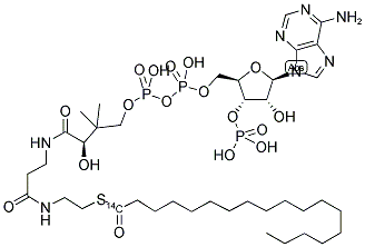 STEAROYL COENZYME A, [STEAROYL 1-14C] Struktur