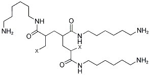 1-AMINOHEXYLAMIDE GEL Struktur