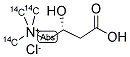 CARNITINE HYDROCHLORIDE, L-[N-METHYL-14C] Struktur