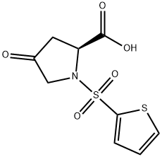 4-OXO-1-(2-THIENYLSULFONYL)-2-PYRROLIDINECARBOXYLIC ACID Struktur