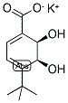 (2R,3S)-1-CARBOXY-4-TERT-BUTYL-2,3-DIHYDROXYCYCLOHEXA-4,6-DIENE POTASSIUM SALT Struktur