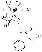 SCOPOLAMINE METHYL CHLORIDE, [N-METHYL-3H] Struktur