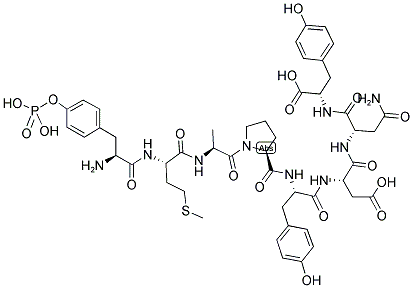 PDGF BETA-RECEPTOR (739-746) (PHOSPHORYLATED) Struktur