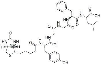 BIOTIN-TYR-GLY-GLY-PHE-LEU Struktur