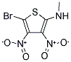 N2-METHYL-5-BROMO-3,4-DINITROTHIOPHEN-2-AMINE Struktur