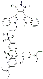 RIM-1 Struktur