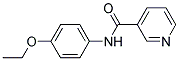 2-ETHOXY-5-[(PYRIDINE-3-CARBONYL)-AMINO]-BENZENE Struktur