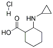 2-CYCLOPROPYLAMINO-CYCLOHEXANECARBOXYLIC ACID HYDROCHLORIDE Struktur