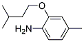 2-(ISOPENTYLOXY)-4-METHYLANILINE Struktur