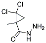 2,2-DICHLORO-1-METHYL-CYCLOPROPANECARBOXYLIC ACIDHYDRAZIDE Struktur