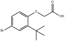 2-[4-BROMO-2-(TERT-BUTYL)PHENOXY]ACETIC ACID Struktur