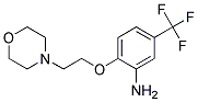 2-[2-(4-MORPHOLINYL)ETHOXY]-5-(TRIFLUOROMETHYL)-ANILINE Struktur