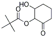 2,2-DIMETHYL-PROPIONIC ACID 2-HYDROXY-6-OXO-CYCLOHEXYL ESTER Struktur