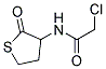 2-CHLORO-N-(2-OXOTETRAHYDROTHIOPHEN-3-YL)ACETAMIDE Struktur