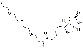 1-BIOTINYLAMINO-3,6,9-TRIOXAUNDECANE-11-YL-METHAN Struktur