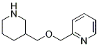 2-[(3-PIPERIDINYLMETHOXY)METHYL]PYRIDINE Struktur