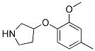 2-METHOXY-4-METHYLPHENYL 3-PYRROLIDINYL ETHER Struktur