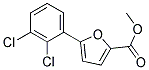 5-(2,3-DICHLOROPHENYL)FURAN-2-CARBOXYLIC ACID METHYL ESTER Struktur