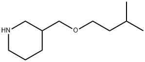 3-[(ISOPENTYLOXY)METHYL]PIPERIDINE Struktur