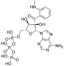 2'-(N-METHYLANTHRANILOYL)ADENOSINE TRIPHOSPHATE, Struktur