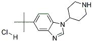 5-TERT-BUTYL-1-(PIPERIDIN-4-YL)-1H-BENZO[D]IMIDAZOLE HYDROCHLORIDE Struktur