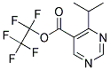 4-ISOPROPYL-5-PENTAFLUOROETHYL-PYRIMIDINE-5-CARBOXYLIC ACID Struktur