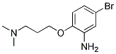 5-BROMO-2-[3-(DIMETHYLAMINO)PROPOXY]ANILINE Struktur