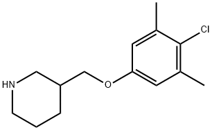 3-[(4-CHLORO-3,5-DIMETHYLPHENOXY)METHYL]PIPERIDINE Struktur