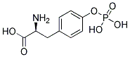 ANTI-PHOSPHOTYROSINE Structure