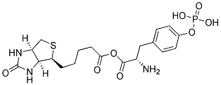 ANTI-PHOSPHOTYROSINE, BIOTIN Struktur