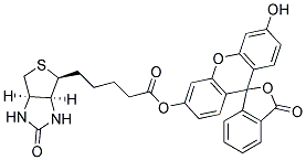 ANTI-BIOTIN, FLUORESCEIN Struktur