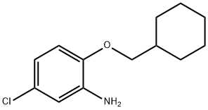 5-CHLORO-2-(CYCLOHEXYLMETHOXY)ANILINE Struktur