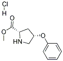 METHYL (2S,4S)-4-PHENOXYPYRROLIDINE-2-CARBOXYLATE HYDROCHLORIDE Struktur