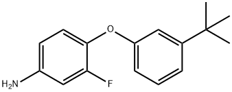 4-[3-(TERT-BUTYL)PHENOXY]-3-FLUOROPHENYLAMINE Struktur