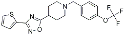 4-[3-(2-THIENYL)-1,2,4-OXADIAZOL-5-YL]-1-[4-(TRIFLUOROMETHOXY)BENZYL]PIPERIDINE Struktur