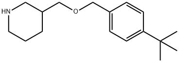 4-(TERT-BUTYL)BENZYL 3-PIPERIDINYLMETHYL ETHER Struktur