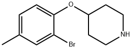 4-(2-BROMO-4-METHYLPHENOXY)PIPERIDINE Struktur