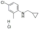 (4-CHLORO-2-METHYL-PHENYL)-CYCLOPROPYLMETHYL-AMINE HYDROCHLORIDE Struktur