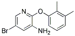 5-BROMO-2-(2,3-DIMETHYL-PHENOXY)-PYRIDIN-3-YLAMINE Struktur