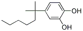 4-TERT-OCTYLCATECHOL Struktur