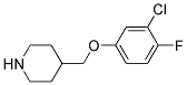 3-CHLORO-4-FLUOROPHENYL 4-PIPERIDINYLMETHYL ETHER Struktur