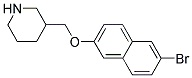 3-([(6-BROMO-2-NAPHTHYL)OXY]METHYL)PIPERIDINE Struktur