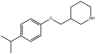 3-[(4-ISOPROPYLPHENOXY)METHYL]PIPERIDINE Struktur