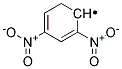 ANTI-DNP Struktur