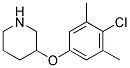 3-(4-CHLORO-3,5-DIMETHYLPHENOXY)PIPERIDINE Struktur