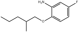 5-FLUORO-2-[(2-METHYLPENTYL)OXY]ANILINE Struktur